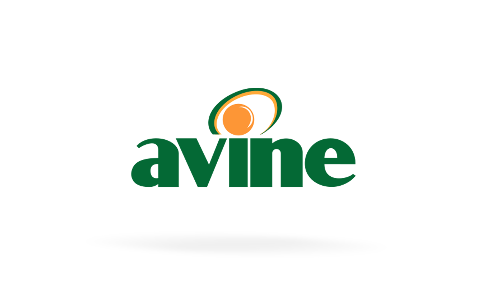 Logo 06 Avine
