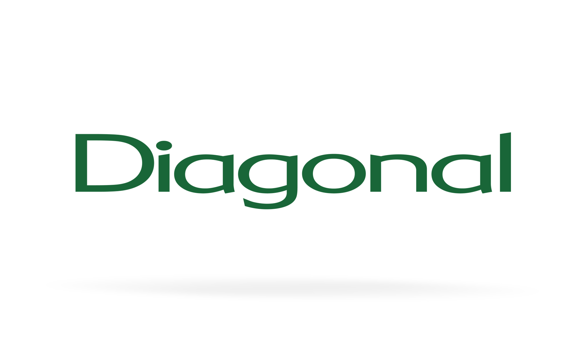 Logo 20 Diagonal