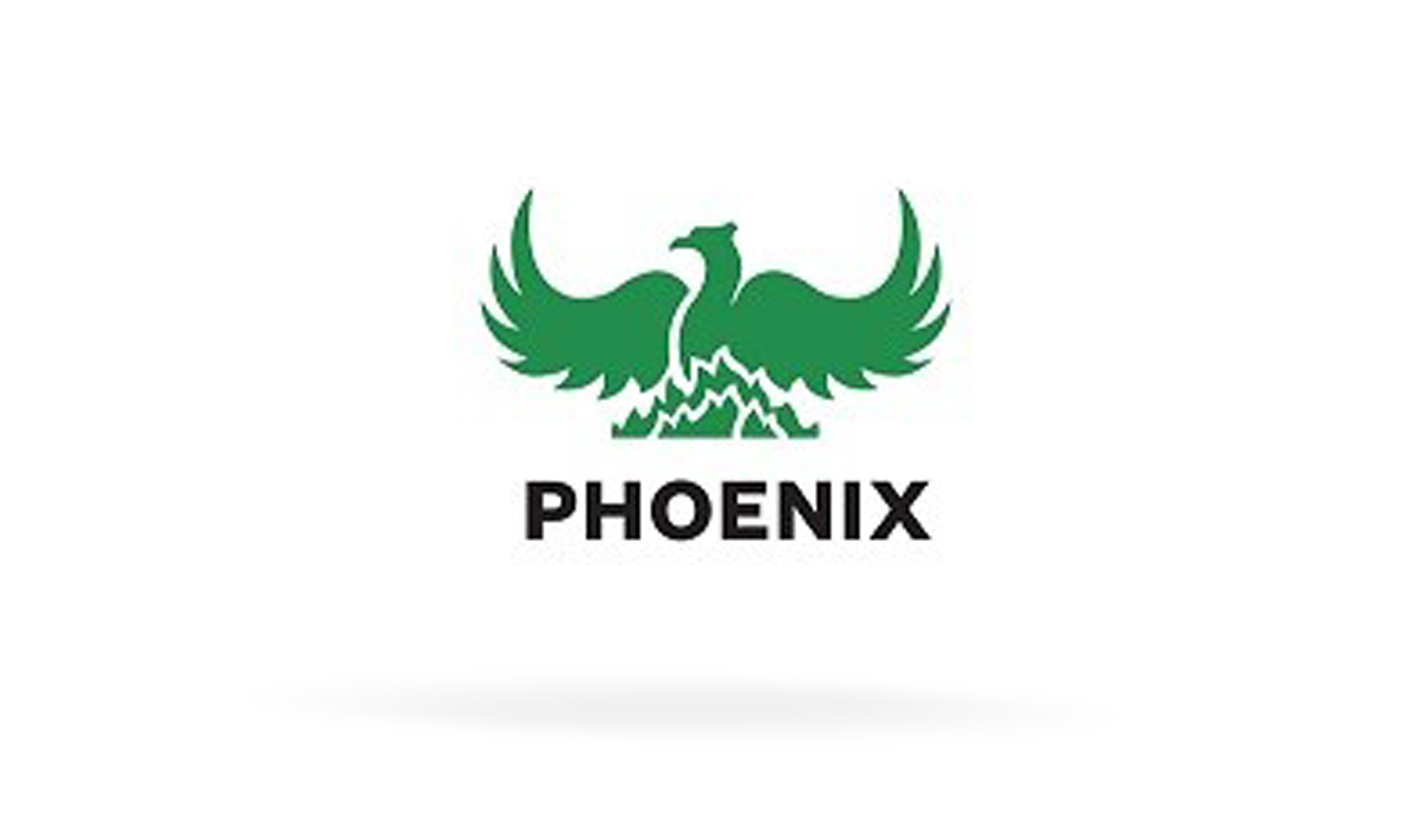 Logo 48 Poenix
